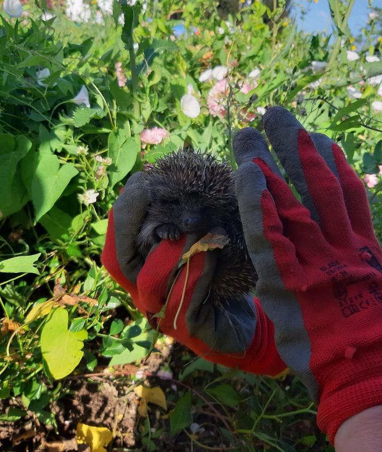 Willa Kuca Za Odmor Vb-Idro Tuhelj Zewnętrze zdjęcie